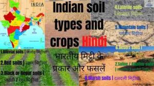 Indian soil types and crops Hindi|भारतीय मिट्टी के प्रकार और फसलें